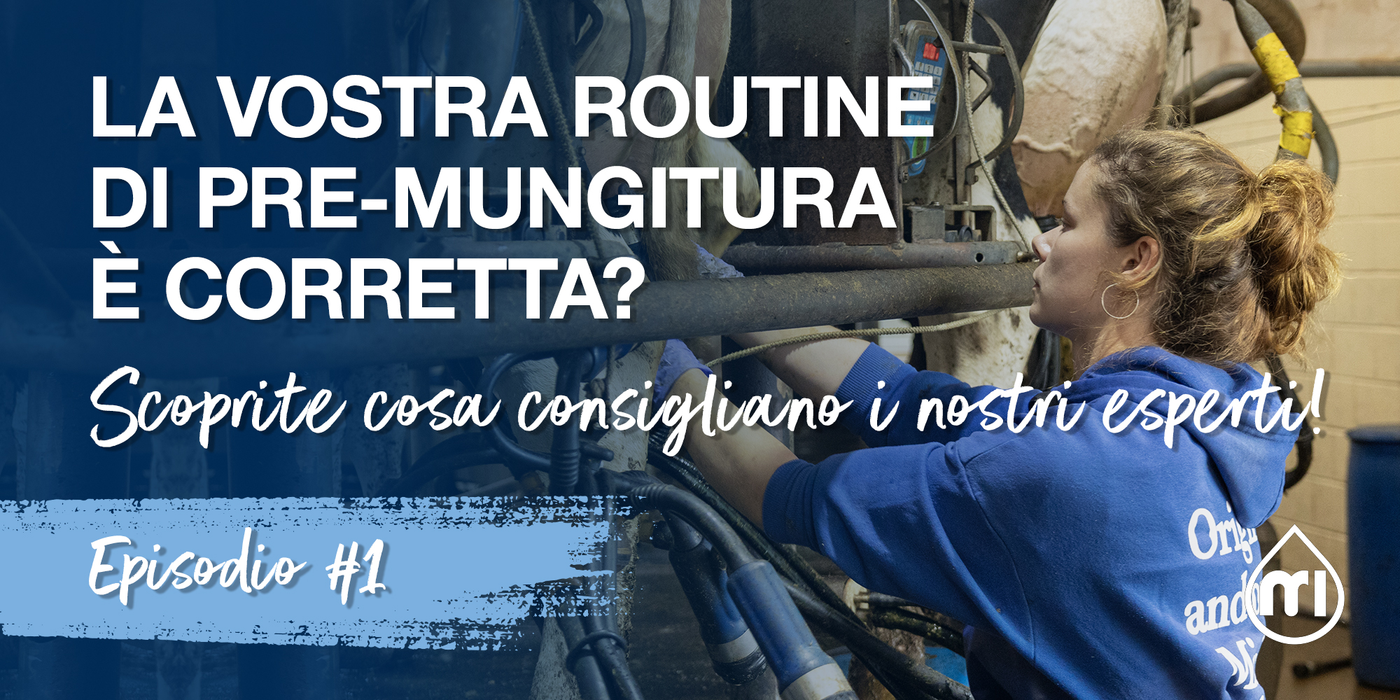La vostra routine di pre-mungitura è corretta? – Parte 1: Scoprite cosa consigliano i nostri esperti!