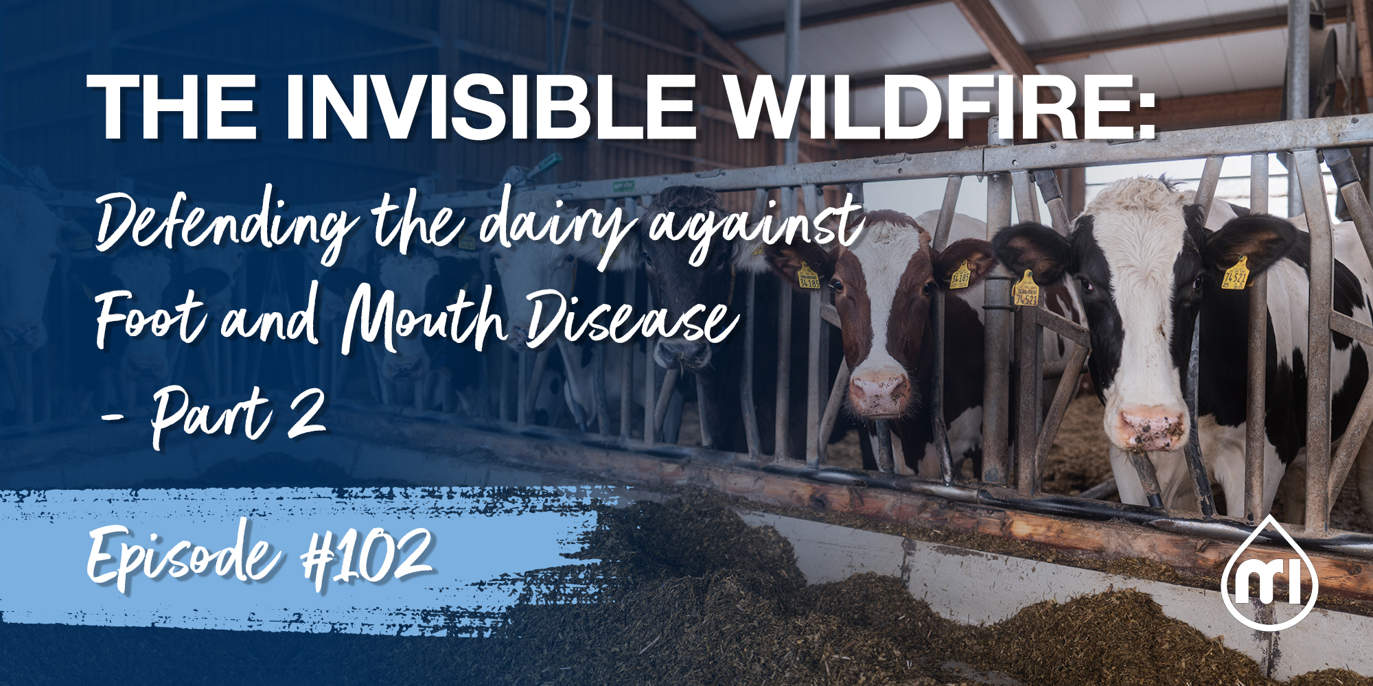 The invisible wildfire: defending the dairy against Foot and Mouth Disease – Part 2