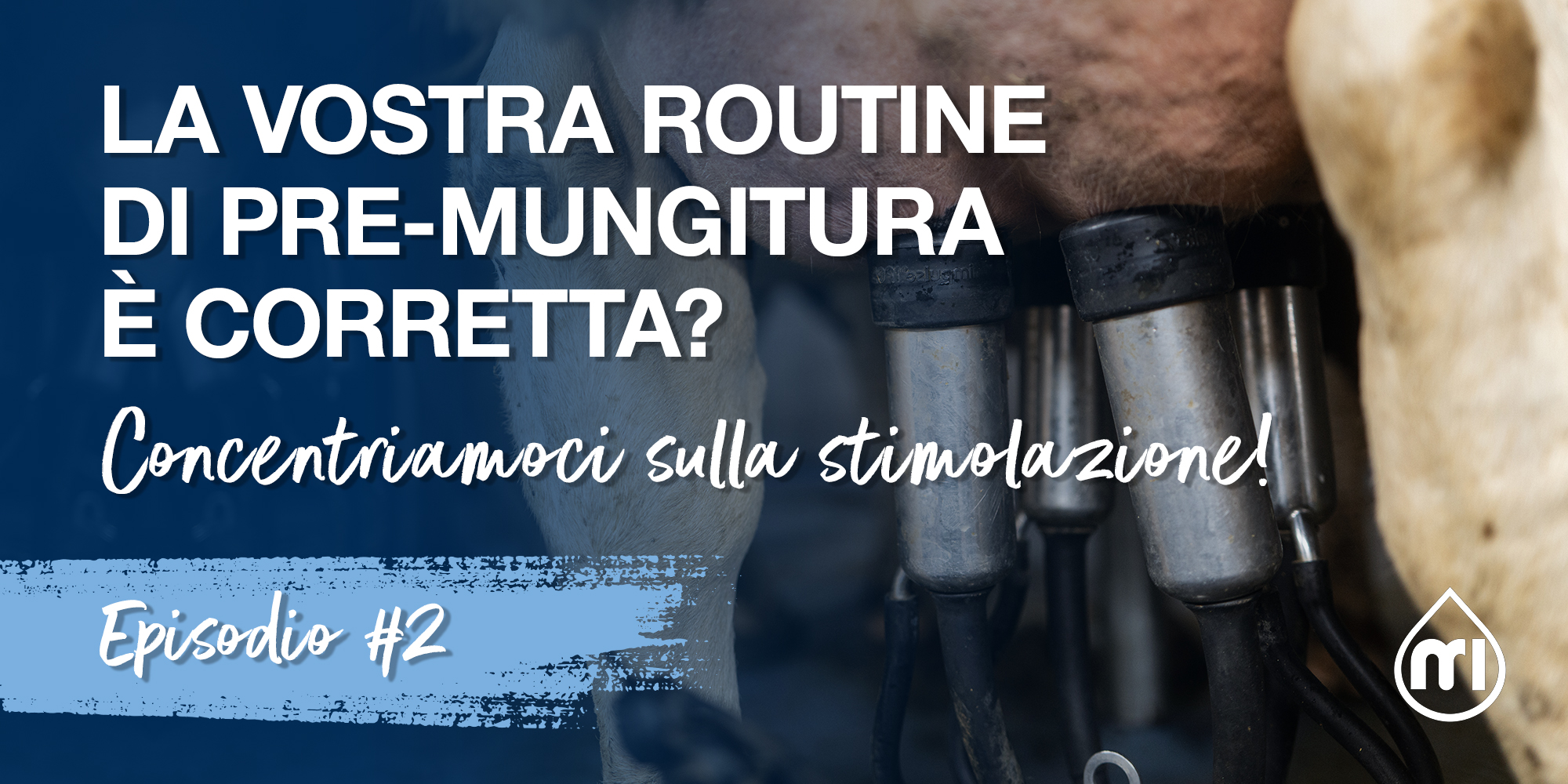 La vostra routine di pre-mungitura è corretta? - Parte 2: Concentriamoci sulla stimolazione!