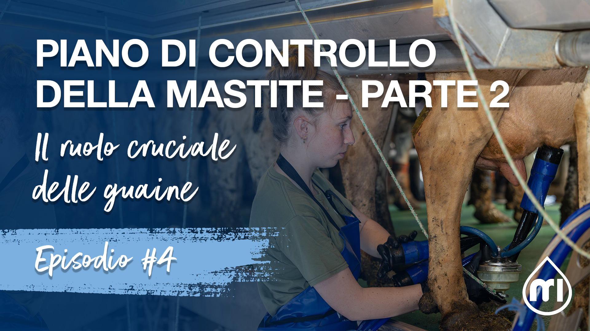 Piano di Controllo della Mastite - Parte 2 Il ruolo cruciale delle guaine 