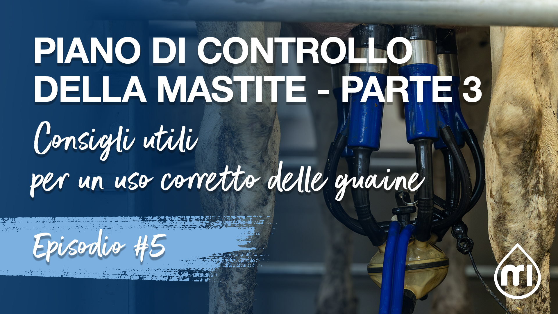 Piano di Controllo della Mastite - Parte 3 Consigli utili per un uso corretto delle guaine
