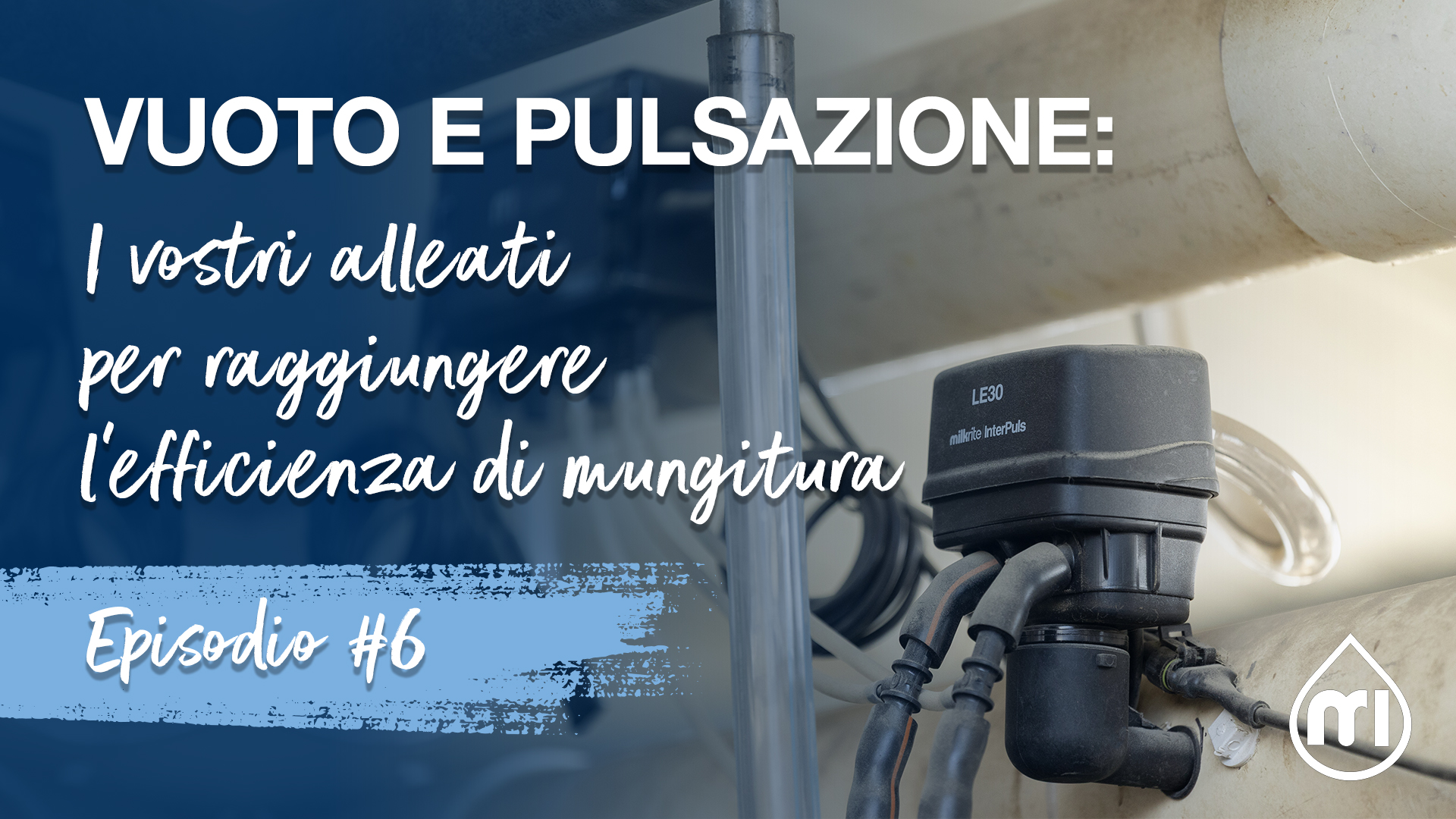Vuoto e pulsazione: i vostri alleati per raggiungere l’efficienza di mungitura