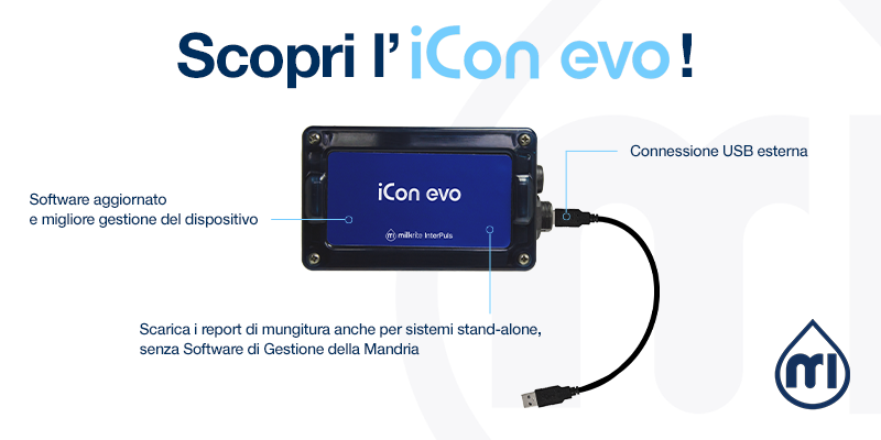 Icon Evo ITA
