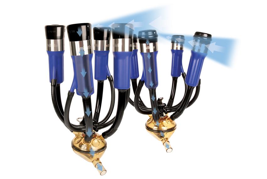 Tettarelle Per Mungitura FLEXMAN - Gruppi Di Mungitura Per Pecore Con Raccoglitore Di Latte - Foto 3